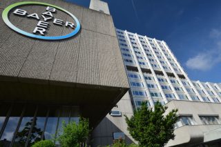 bayer